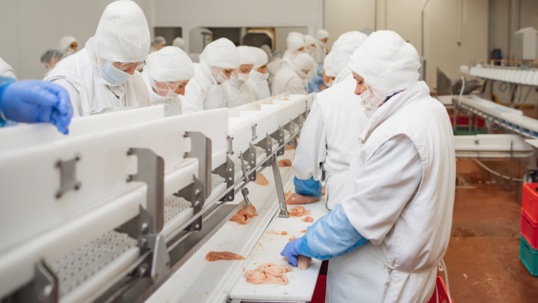 Trazabilidad alimentaria digital cómo cumplir la normativa y ganar eficiencia